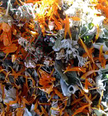 plantes sèches en vrac pour tisane femme calendula sauge achillée ortie framboisier