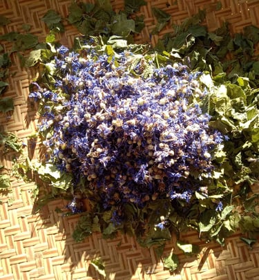 fleur séchées en vrac pour tisane articulation bleuet ortie reine des près bouleau