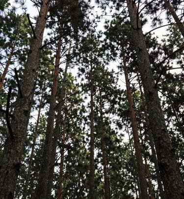 Guests mingling and chatting in a cozy indoor event space
