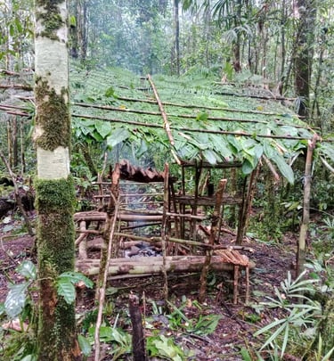 jungle survival hut material from the surrounding 