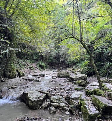 Orto Botanico delle Conifere di Ome