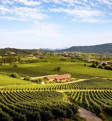 Vigneti della Franciacorta