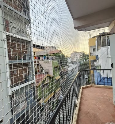 protecting a rooftop garden from birds in a busy Mumbai neighborhood