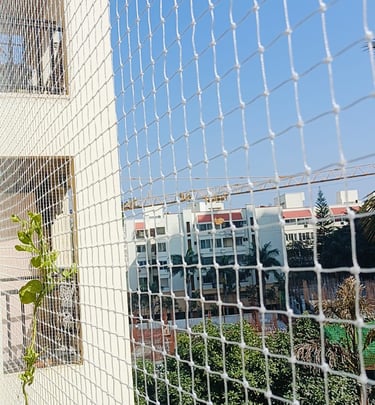 sturdy pigeon net securely installed on a balcony railing in a sunny Juhu apartment