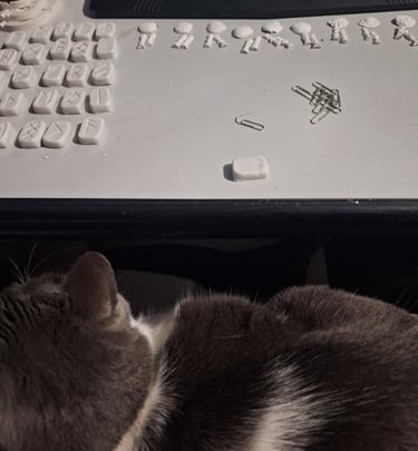 A gray cat rests near a desk with Elder Futhark rune stones being crafted