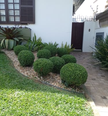 Corte de grama e acabamentos . PF 