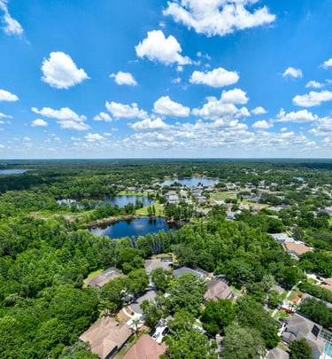 Aerial view of a suburban neighborhood in Florida with luxury homes, lush green trees, and scenic lakes.
