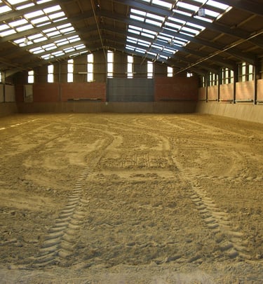 Indoor equestrian arena with fresh sand footing and skylights for natural lighting.