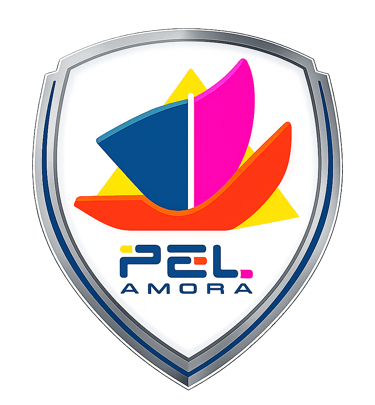 PELAMORA - Clube de voleibol