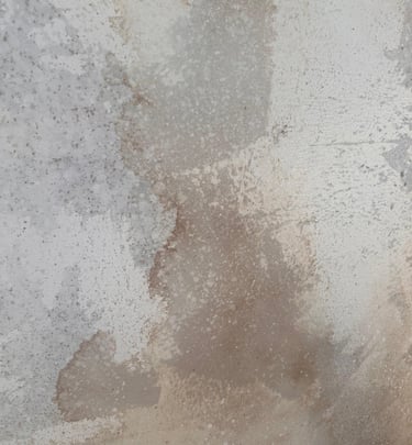 decorado gira Sanguijuelas acabado muro sobre madera