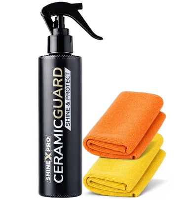 spray car cleaner 
