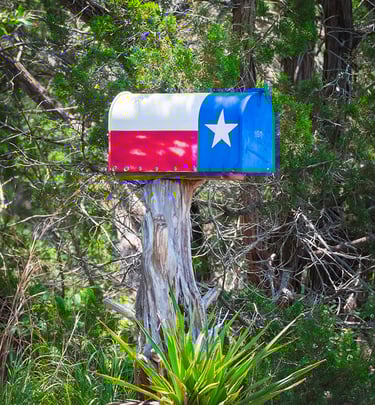 Rural Texas mailbox painted with the Texas state flag design, set against a typical Texas cedar brush background