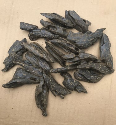 Mohasan Bentley / Sarang Semut