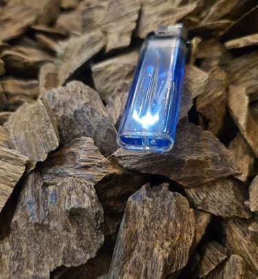 Mohasan Tunggul Sumatera