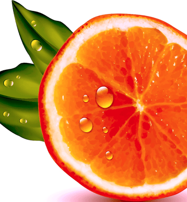 King Organic Clean, Icon Logo