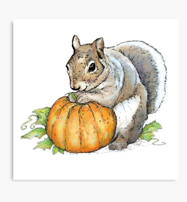 a squirrel with a pumpkin on a white background