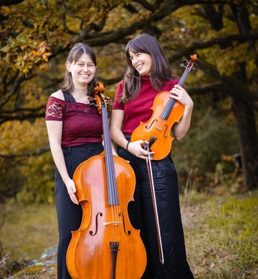string duo viola and cello
