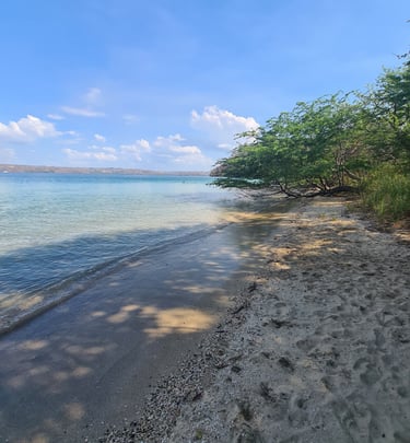 Pristine secluded beach accessible by private catamaran tour in Guanacaste, Costa Rica