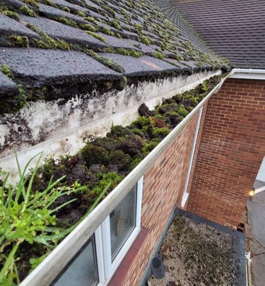 Gutter clearance and debris removal on residential property