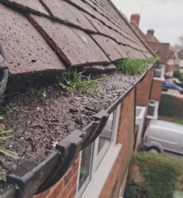 Gutter clearance and debris removal on residential property