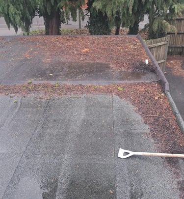 Roof repair guildford