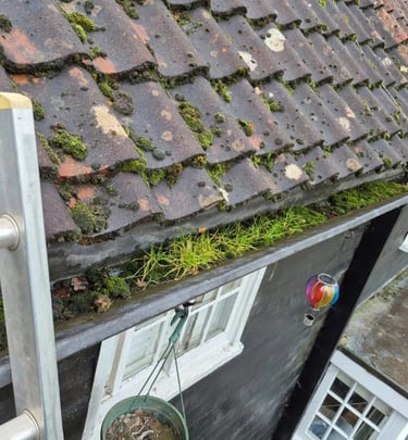 Gutter clearance and debris removal on residential property