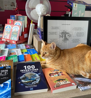 le chat roux Tigrou est couché sur des livres