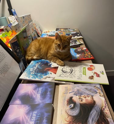 L’espace culturel appartient aux chats. Ici, tigrou le roux est couché sur des livres