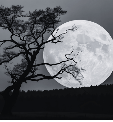 crystals-charged-by-sun-and-moon-energy