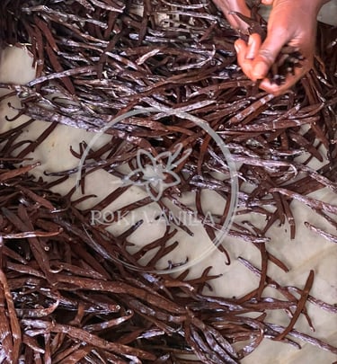 Bulk order vanilla beans 