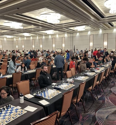 Large international chess tournament for chess enthusiasts ranging in age from 6 to 94.