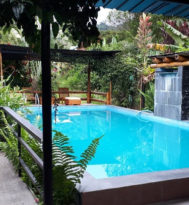 mindo-naturaleza-bicok-hospedaje