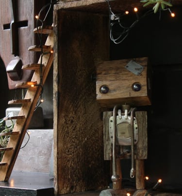 mindo-naturaleza-bicok-hospedaje