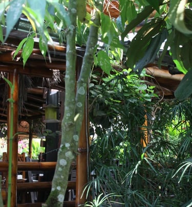 mindo-naturaleza-bicok-hospedaje