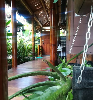 mindo-naturaleza-bicok-hospedaje