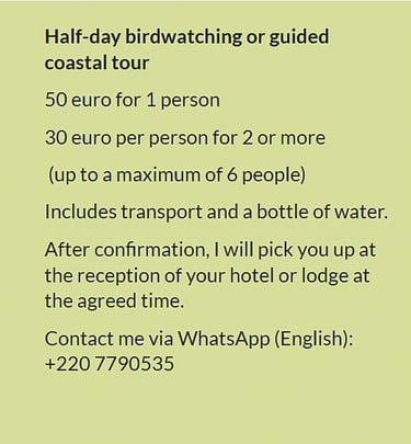 Flyer half-day birdwatching or guided coastal tour in Gambia. Price €50 for 1 person or €30 per pers