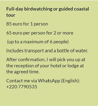 "Flyer full-day birdwatching or guided coastal tour in Gambia. Price €85 for 1 person or €65 per per
