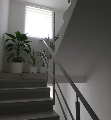 a staircase with a plant in the middle of it