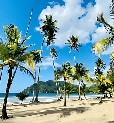 The beautiful Maracas beach