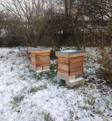two beehives in the snow