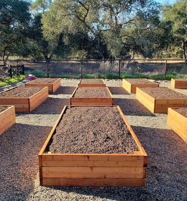 Creating vegetable beds