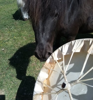 Drum blessing