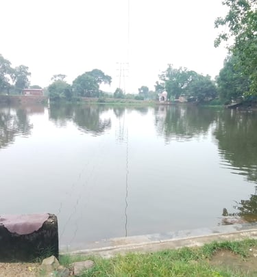 pond