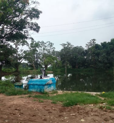 pond