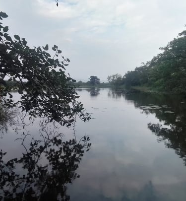 pond