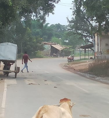 road