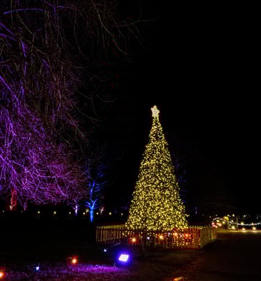 Luminate Christmas Tree