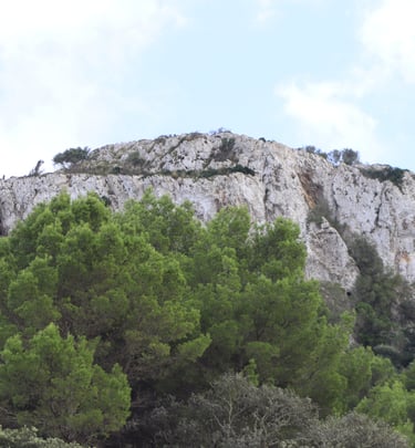Pferdeausbildung in natürlicher Umgebung unterhalb des Na Penyal