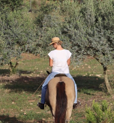 Pferd und Mensch in achtsamer Verbindung auf Mallorca