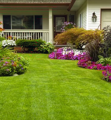 a house with a lawn and flowers in the front yard
